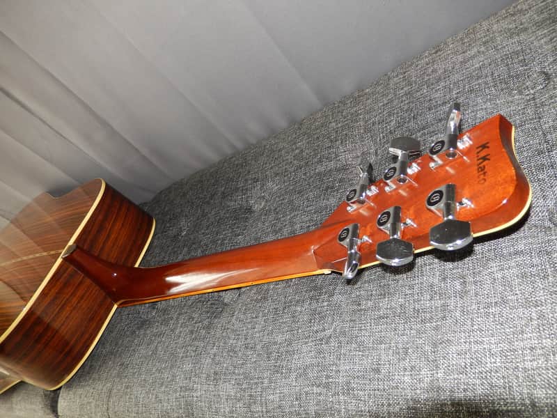 ARIA G400 Aria G400アコースティックギターFishmanピック搭載ハードケース