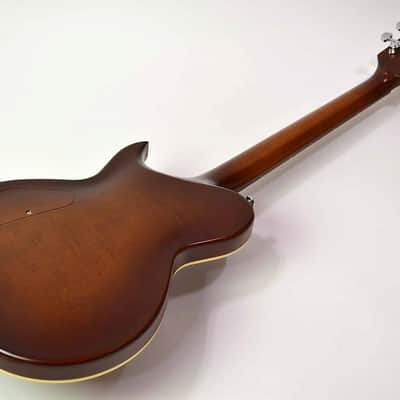 Aria Pro II PE 1500 RI, Antique Violin Finish! image 6