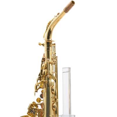 Giardinelli by Eastman GAS10 Alto Saxophone in Gold Lacquer SN 11533980 image 15