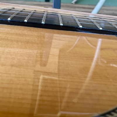 *Gorgeous Tone* Blueridge BR-361 Parlor Guitar image 8