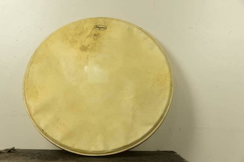 Vintage Rogers 20" Calfskin Logo Bass Drum Head image 1