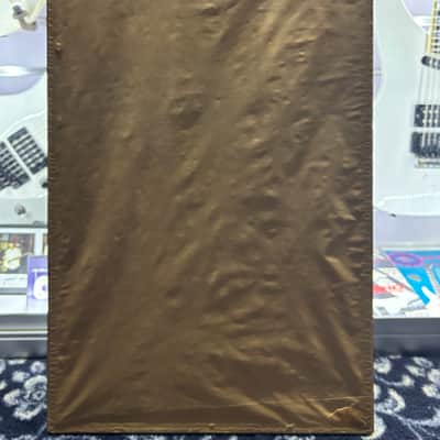 RARE Def Leppard RIAA Hysteria Award Presented To Steve Clark Gibson Guitar 10 Million Copies image 10