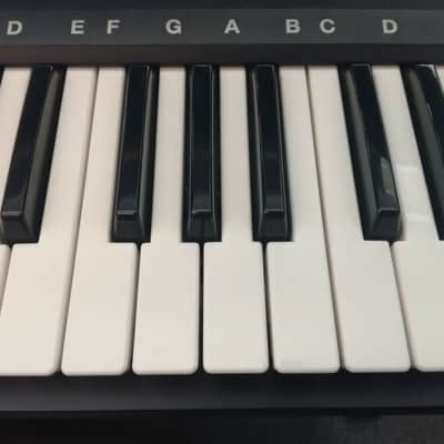 ROLAND VIMA RK-100 KEYBOARD, Karaokefunktion, einfache Bedienung, toller Sound! image 4