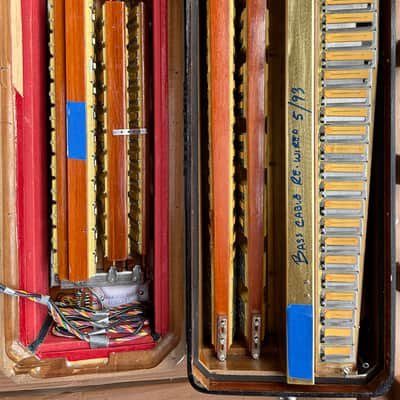 Iorio Accordion Double chamber image 9