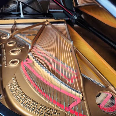 1901 Steinway B Grand Piano Rebuilt by Steinway in 1998 * Free 1st floor Delivery in NJ!* image 10