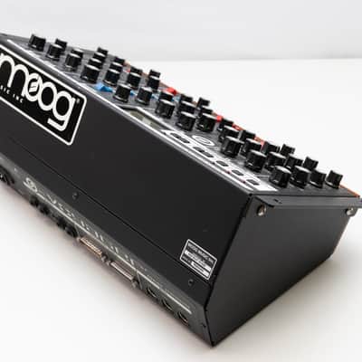 Moog Minimoog Voyager RME (Rack Mount Edition) - Moog Factory Refurbished image 5