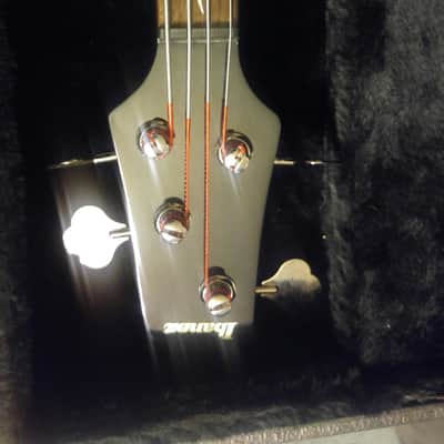 Ibanez PGBIL image 4