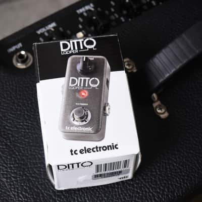 TC Electronic Ditto Looper (Pre-owned) image 5