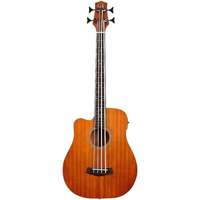 Gold Tone M-Bass25FL/L 25-Inch Scale Fretless 4-String Acoustic-Electric MicroBass w/Hard Case For Left Hand Players image 1