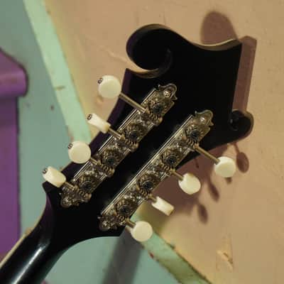 2024 Eastman MD-814 F-Style Carved-Top Mandolin (VIDEO! Fresh Work, Ready) image 15