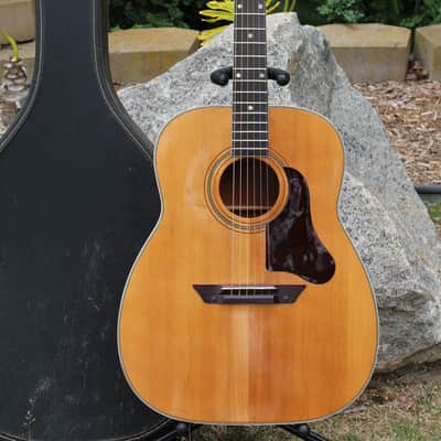 RARE Vintage 1964 Regal Model 235 Harmony Sovereign H-1260 Jumbo Acoustic Guitar W/ Case Restored! image 1