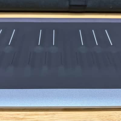 ROLI Seaboard RISE 2 (Platinum Blue) 49-Key + Equator2 + Soft Case image 14