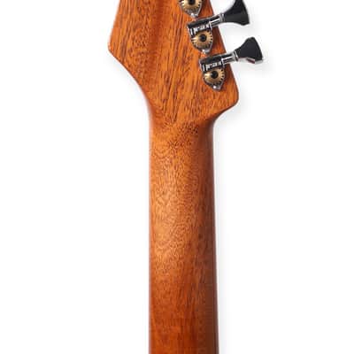 Fiam Guitars Mirari F5 2023 “Silver Surfer” NEW. (Authorized Dealer) image 13