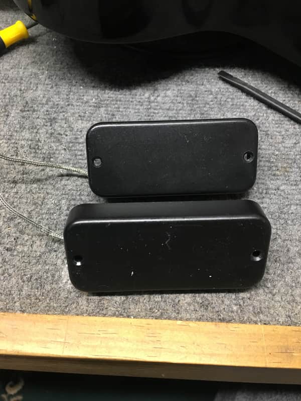 Epiphone Thunderbird Pickup Set image 1