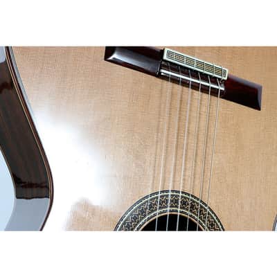 Alhambra Mengual y Margarit Serie NT Classical Guitar Regular image 5
