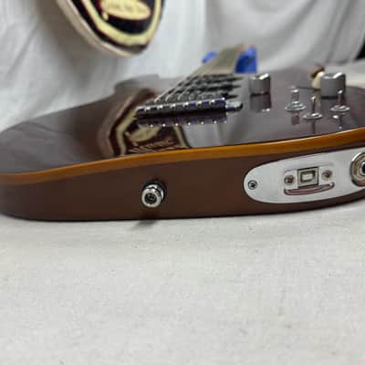 Godin Passion Series RG.2 rg2 rg-2 Guitar 2012 image 16