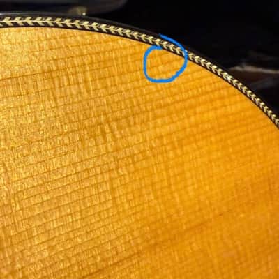 Breedlove Oregon Concert Acoustic/Electric Guitar image 4
