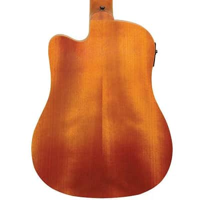 Gold Tone M-Bass Mahogany Top 23-Inch Scale 4-String Acoustic-Electric MicroBass w/Gig Bag image 2