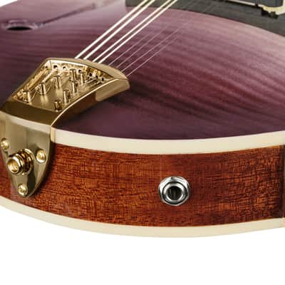 Ortega RMFE200PF Americana Series F-Style Solid Flamed Maple Top Maple Neck 8-String Acoustic-Electric Mandolin w/Croco Leather Case image 12