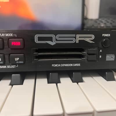 Immagine Alesis QSR 2000s - Black - 5