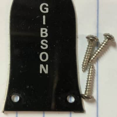 2009 Epiphone Les Paul Special II Electric Guitar Truss Rod Cover With Screws image 1