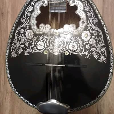 Greek Bouzouki & hardcase & pickup & 300 backing track with pdf scores 8 string image 2