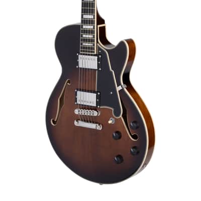 D'Angelico Premier SS Black Flake + Bag Bild 2