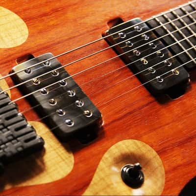 Mayones Regius 6 Flames Master Builder Collection 2014 image 8