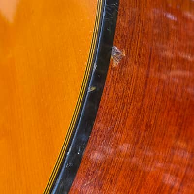 Vintage Fender CG-11E NAT Classical Acoustic / Electric Guitar image 14