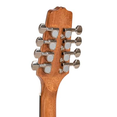 Gold Tone BZ-500 Folkternative Design Solid Spruce Top Irish Bouzouki Mandolin w/Hard Case image 4