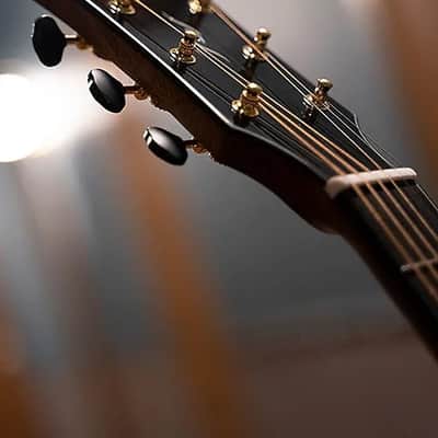Cort Gold Edge Acoustic-Electric w/ Case, Grand Auditorium Torrefied Solid Spruce Top 1 3/4"(45mm) Nut, Mint image 14