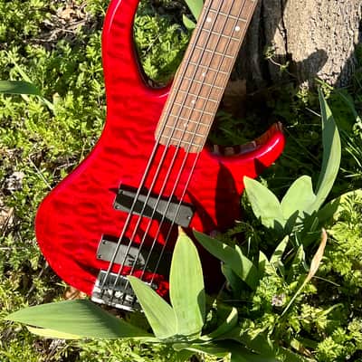 Peavey Fury V 2007/2008 5 String Bass - Upgraded Bartolini Pickups image 4