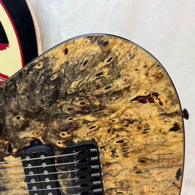 ViK Guitars Left-Handed Lefty Caprice 7 7-string Guitar with Case image 9