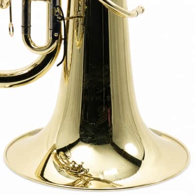 Eastman EBF861 Professional F Tuba in Clear Lacquer image 5