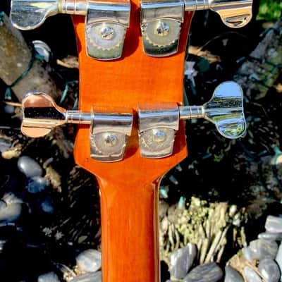 B.C Rich Eagle Bass "Lefty" 1976 image 6