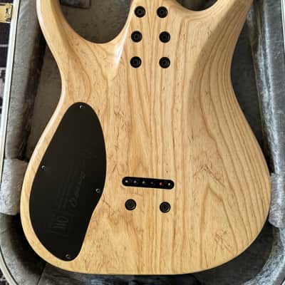 Mayones John Browne Qatsi Signature Duvell Q 6 2017 - 2021 image 6