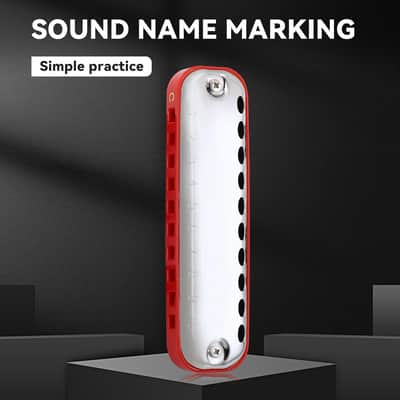 Blues Harmonica for Students Adult Beginners 10 Hole Diatonic Harmonica Key of C, Brass Reed Metal Mouth Organ C Key with Case, Red image 3