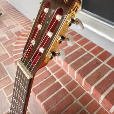 2017 Washburn C80S Madrid. Solid Cedar Top & Rosewood. image 11