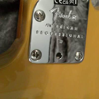Fender American Professional II Telecaster image 10