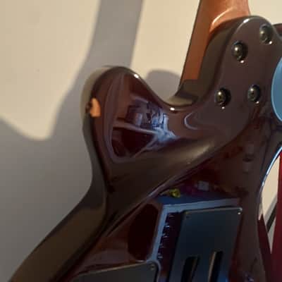 Godin xtSA 2010s - Light Burst image 3