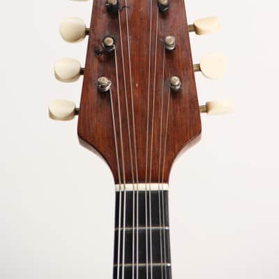 Howe-Orme No. 34 Mandolin 1900 image 7