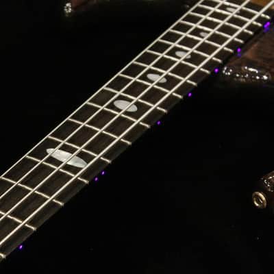 ALEMBIC USED ​​Used Europa 4 (Birdseye Maple Top / TBK) '19 image 6