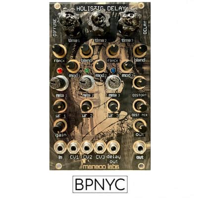 Maneco Labs HOLISTIC DELAY (eurorack/alternate faceplate) image 1