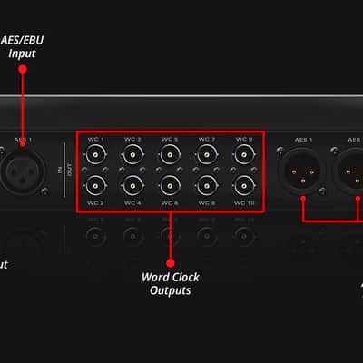 Antelope Audio OCX HD image 5