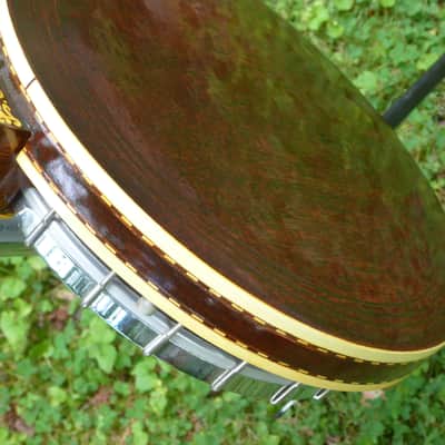 Jany tenor banjo image 7