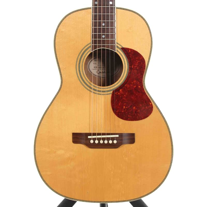 Epiphone Blues Master
