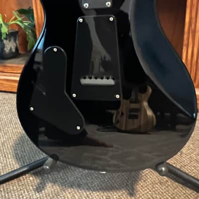 PRS CE 24 image 4