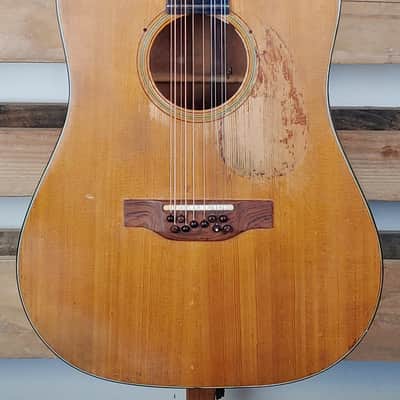 1965 Martin D12-20 Owned by Leo Kottke 10-String with COA Benefits Stropes Foundation image 1