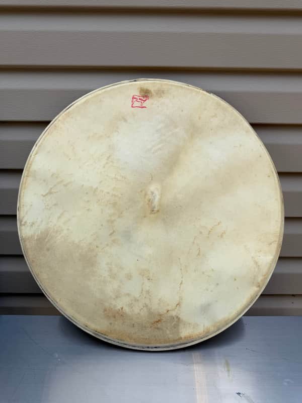 Ludwig 22” Whitecalf Calfskin 1950’s - Calfskin image 1