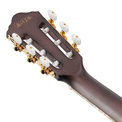 TOD10N Ibanez image 10